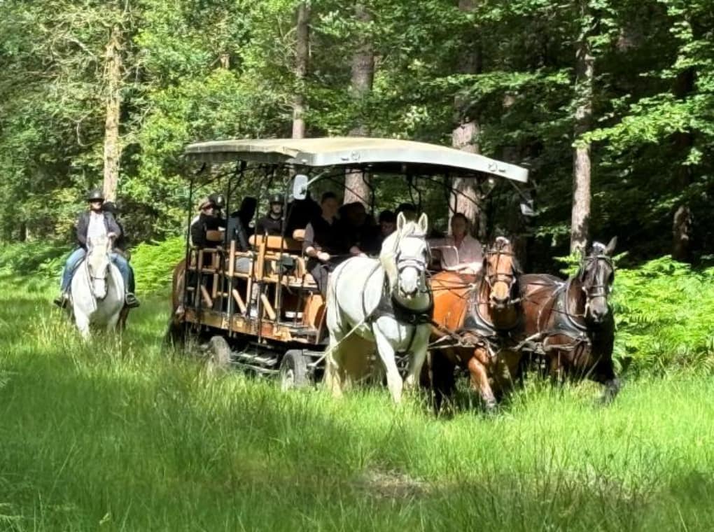 Stage BROCELIANDE I Association Au delà de nos handicaps (8)