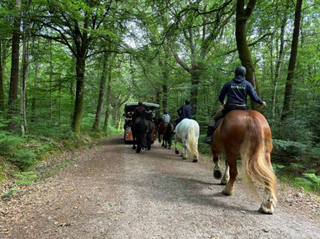 Stage BROCELIANDE I Association Au delà de nos handicaps (9)