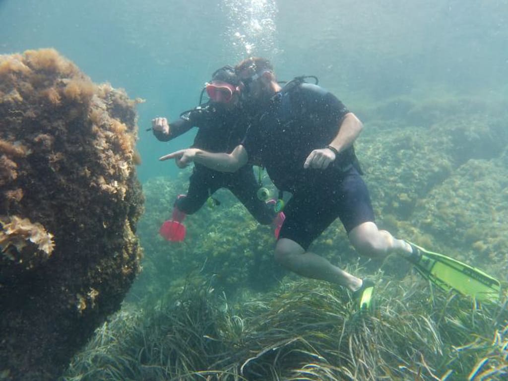 Stage Saint Honorat XV ADH (4)