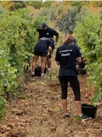 travail de la terre stage asso adh